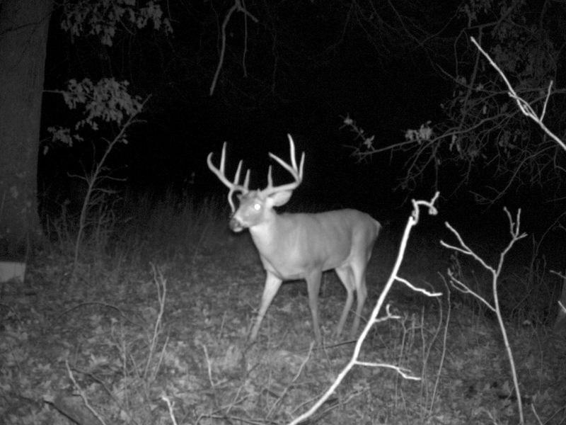 545 N County Line Road , Sunbury, OH 43074 Photo 56