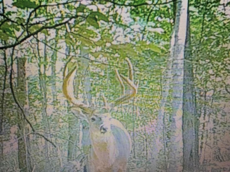 545 N County Line Road, Sunbury, OH 43074 Photo 56