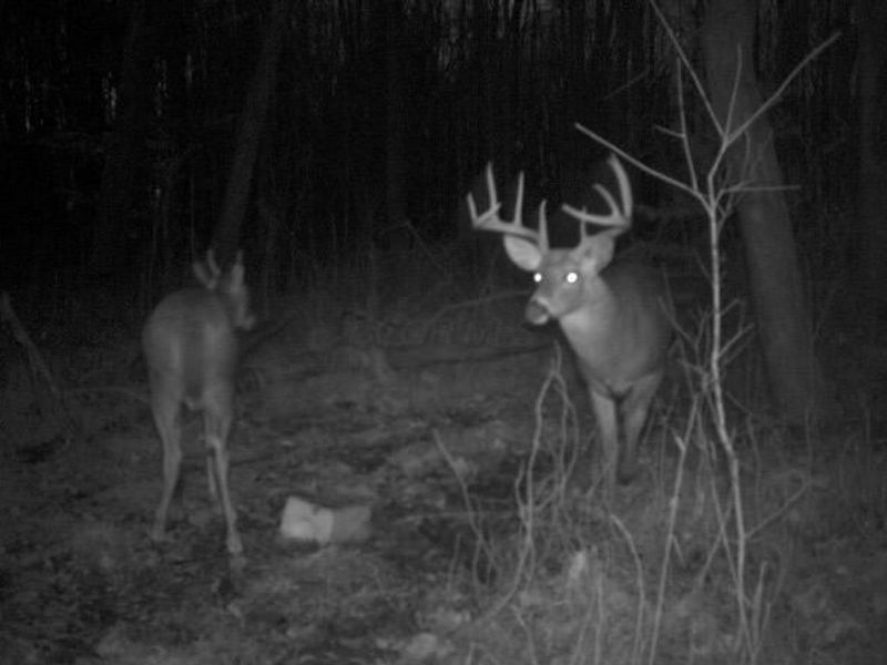 545 N County Line Road , Sunbury, OH 43074 Photo 57