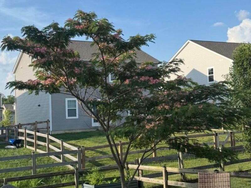 1124 Ayrshire Drive, Columbus, OH 43207 Photo 61