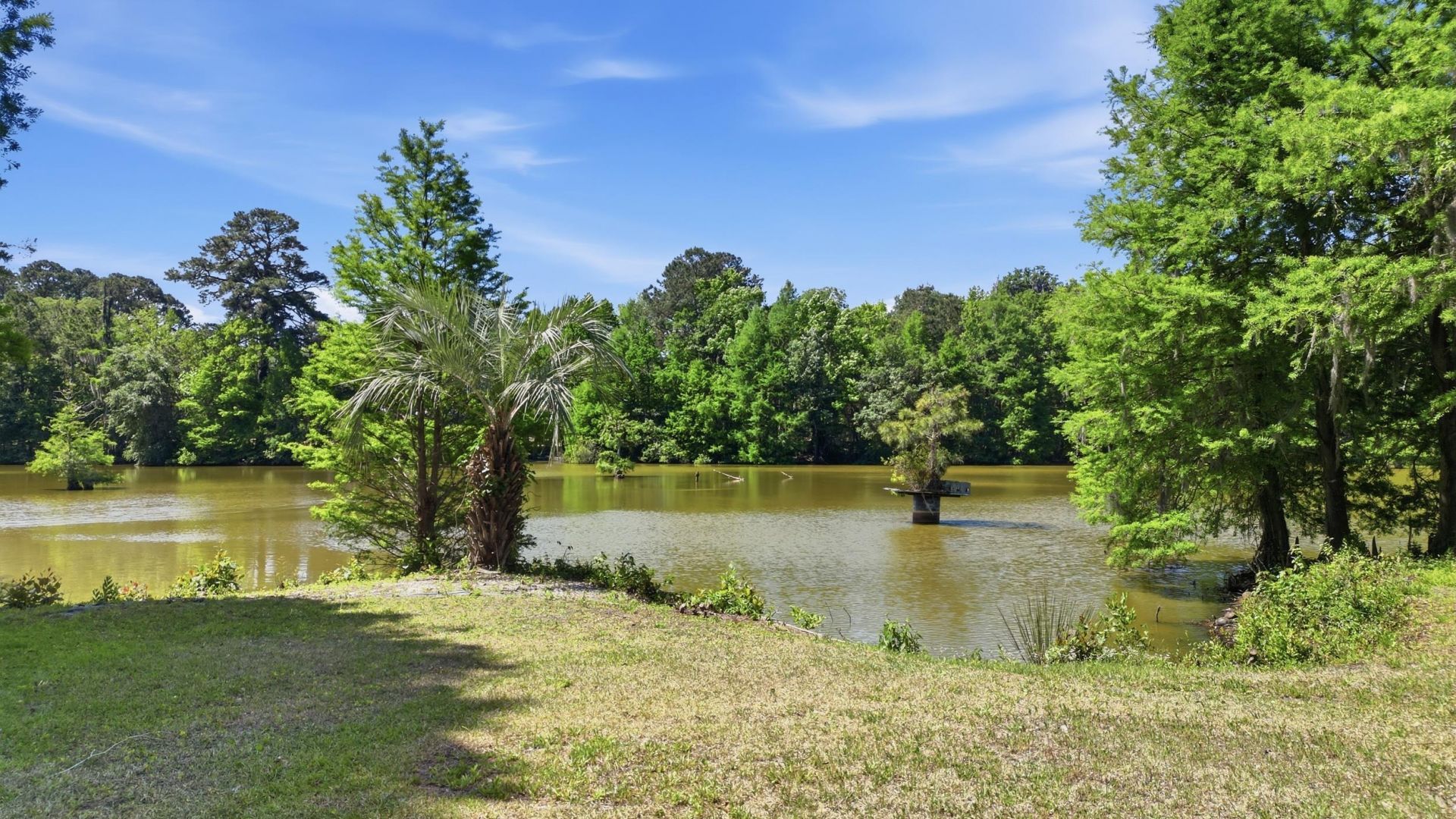 910 Second Ave.  Photo 38