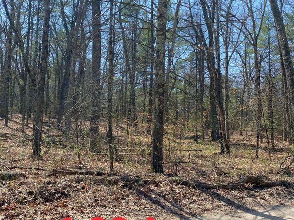 VL 16th Street, Twin Lake, MI 49457