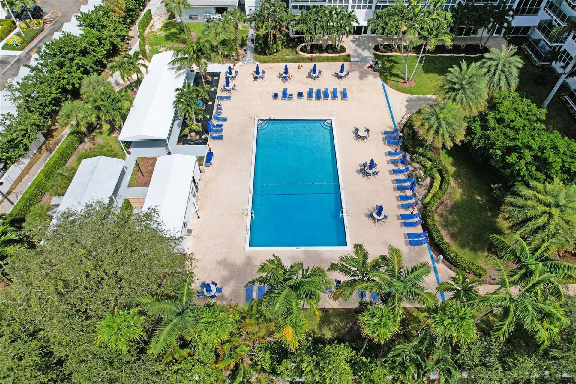 3333 NE 34th Street, Unit 1006, Fort Lauderdale, FL 33308 Photo