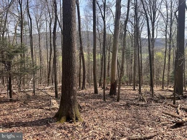 0 ROUTE 225 , SHAMOKIN, PA 17872