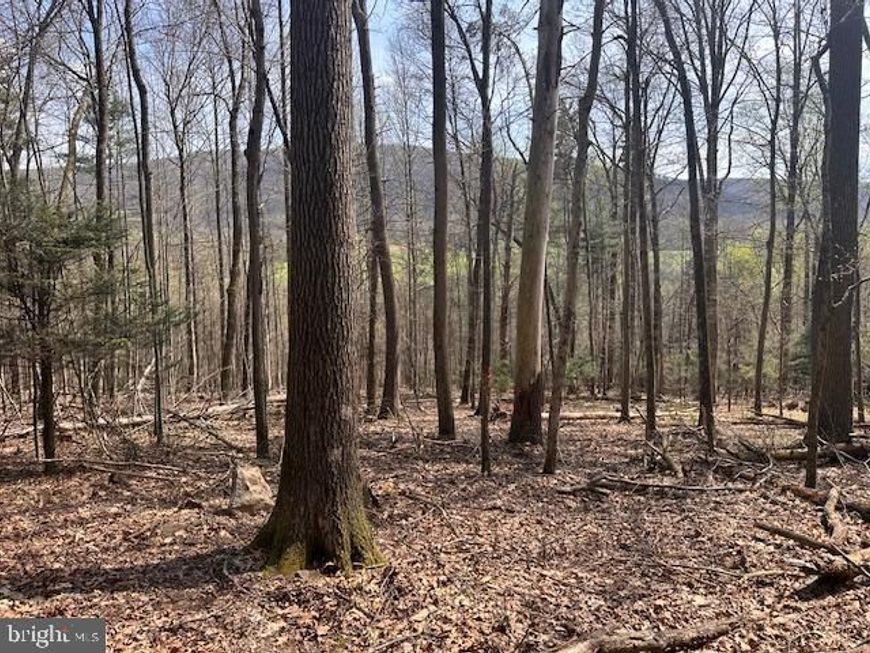 0 Route 225 , Shamokin, PA 17872 Main Photo