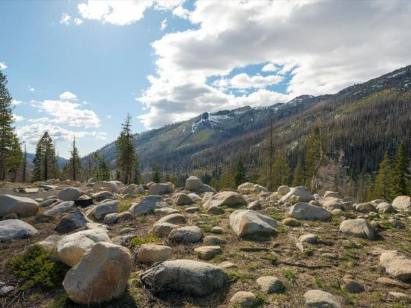 2060 Huckleberry Heights Road, Twin Bridges, CA 95735