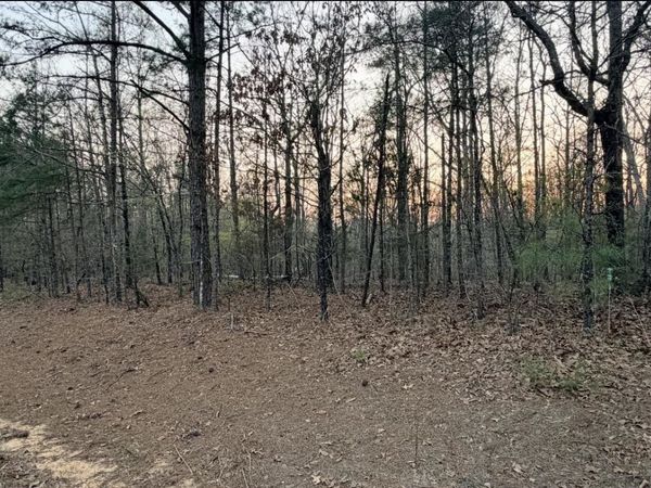 0 Co Rd 436, Hamilton, AL 35570