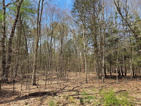 Lot 13 Tyler Road, Cochecton, NY 12726