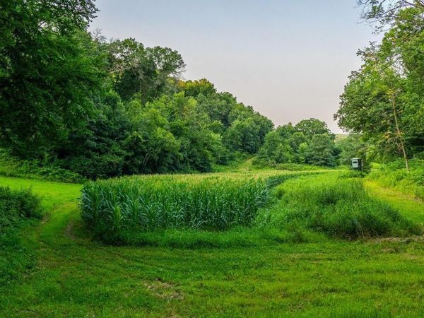 TBD County Road S, Blair, WI 54616