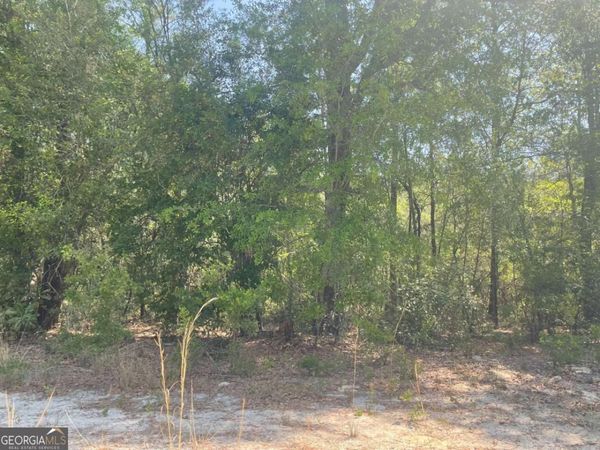 LOT 7 Riverbank Road, Reidsville, GA 30453
