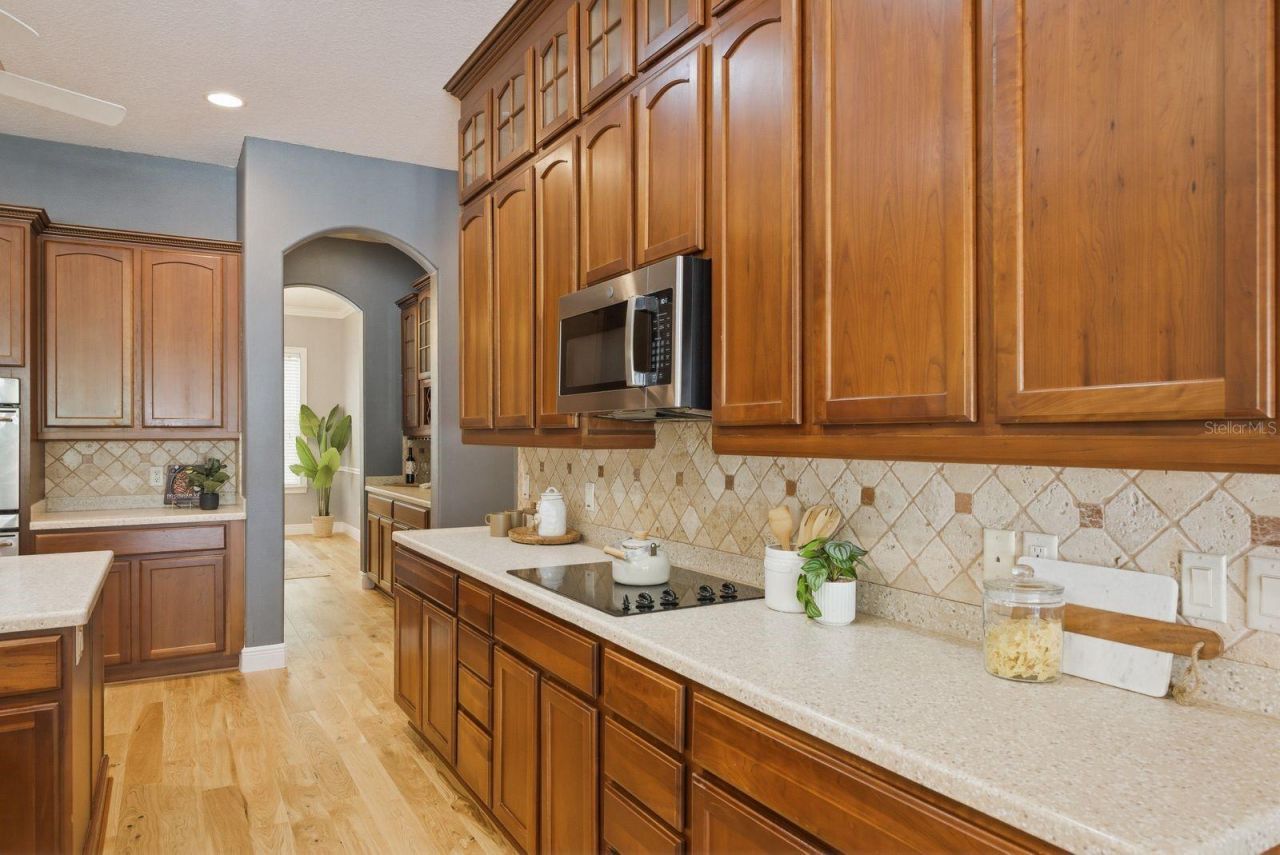 6615 Ridge Top Drive, Trinity, FL 34655 Photo