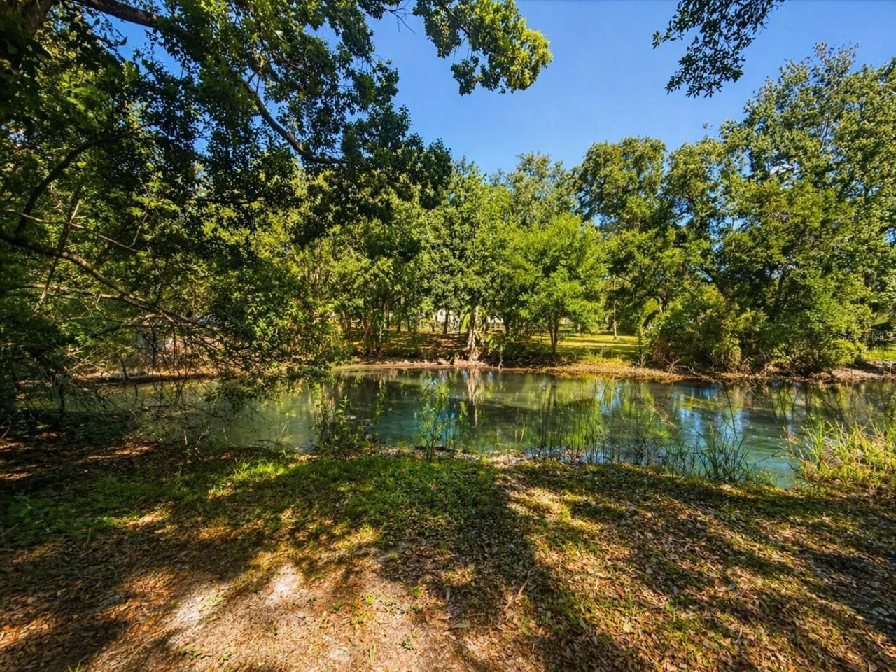 6615 Ridge Top Drive, Trinity, FL 34655 Photo