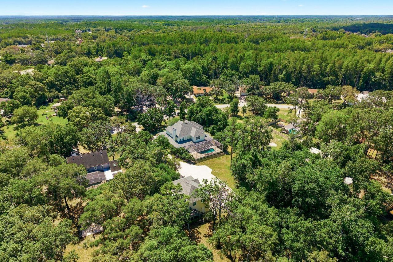 6615 Ridge Top Drive, Trinity, FL 34655 Photo