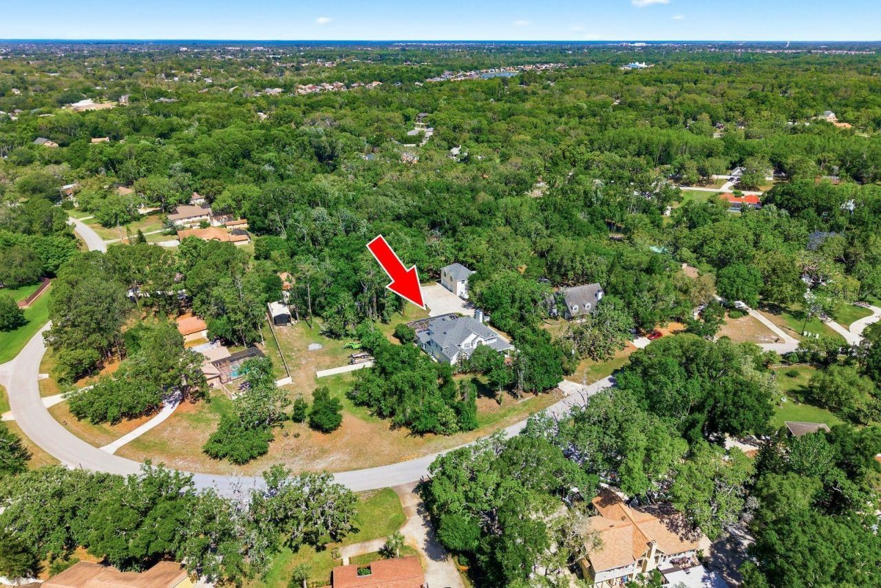 6615 Ridge Top Drive, Trinity, FL 34655 Photo