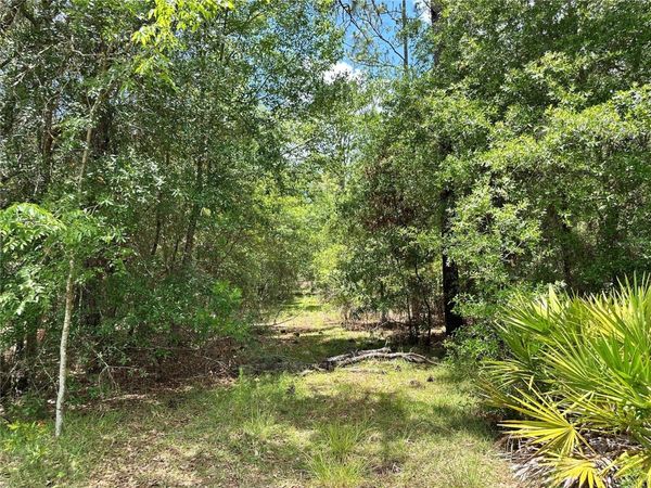 13070 NE 78TH PLACE, BRONSON, FL 32621