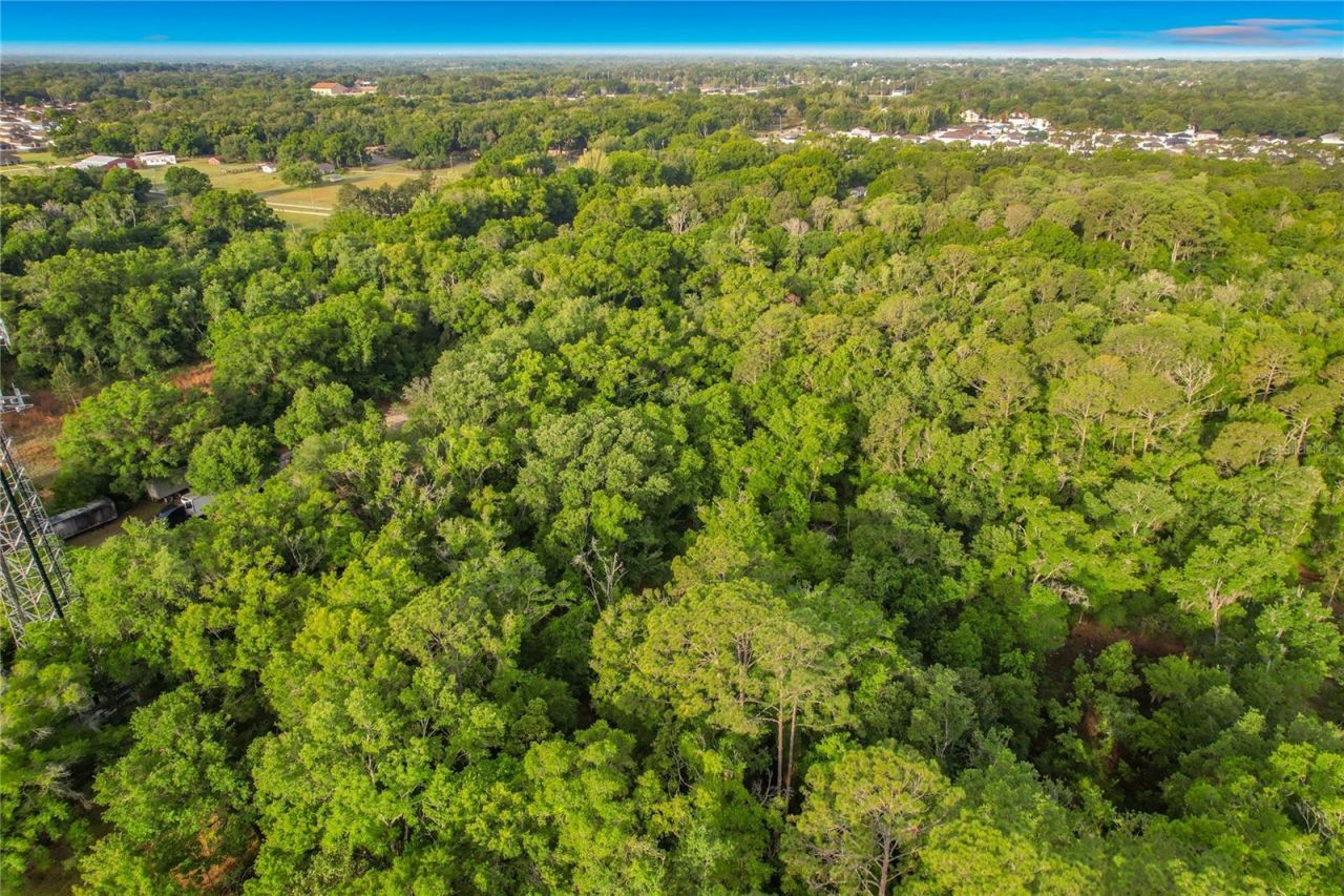 1301 Duff Road , Lakeland, FL 33810 Photo