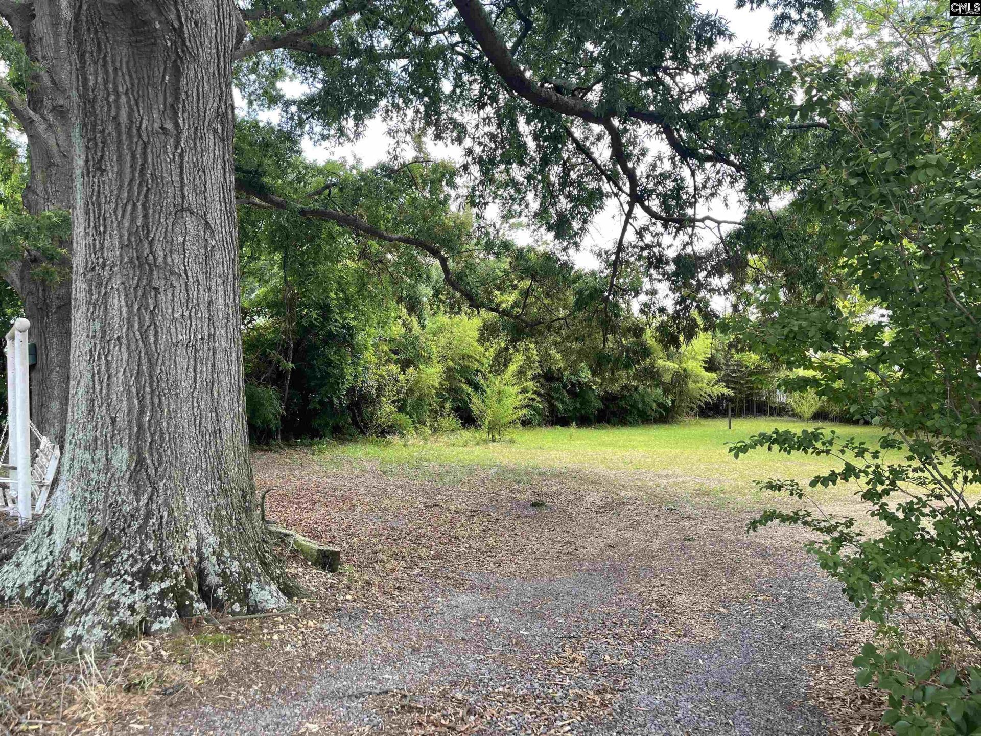 3201 Broad River Road  Photo 9