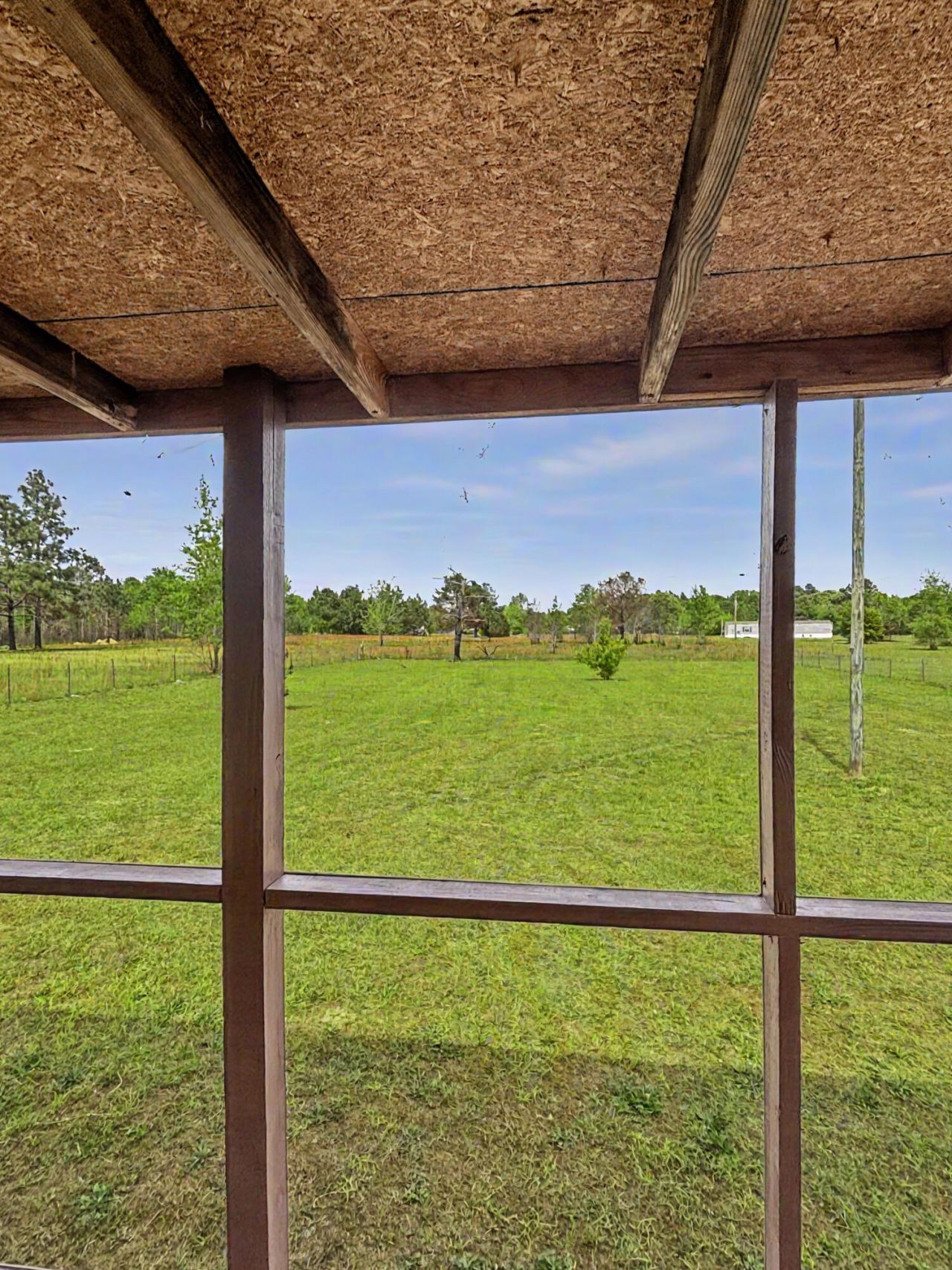 205 Rister Road Photo 12