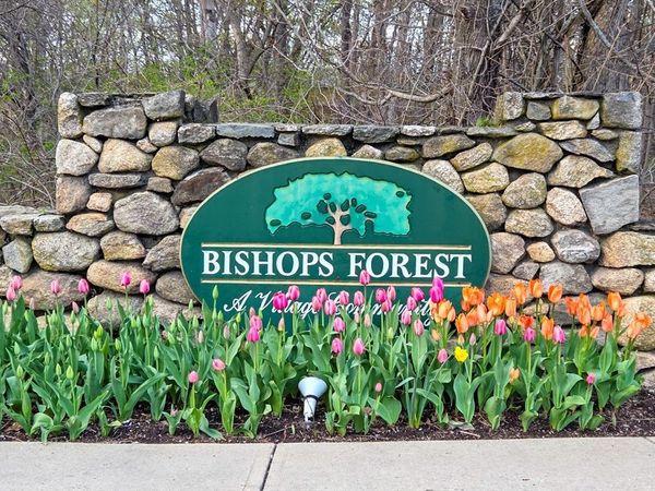 231 Bishops Forest Dr., Unit 231, Waltham, MA 02452