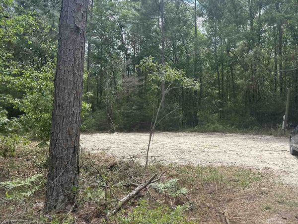 8024 Meridale Drive , Woodville, FL 32305