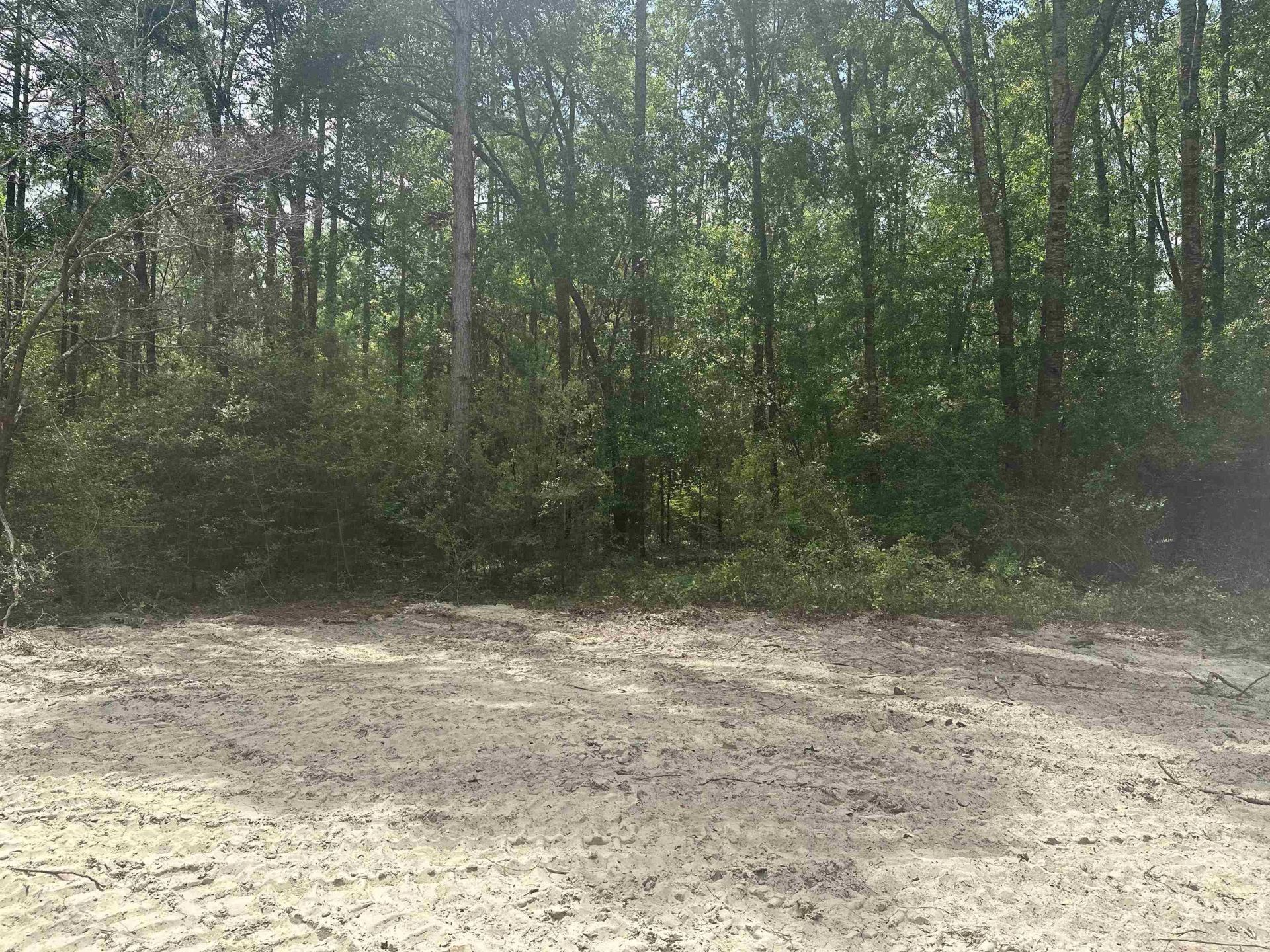 8024 Meridale Drive, Woodville, FL 32305 Photo