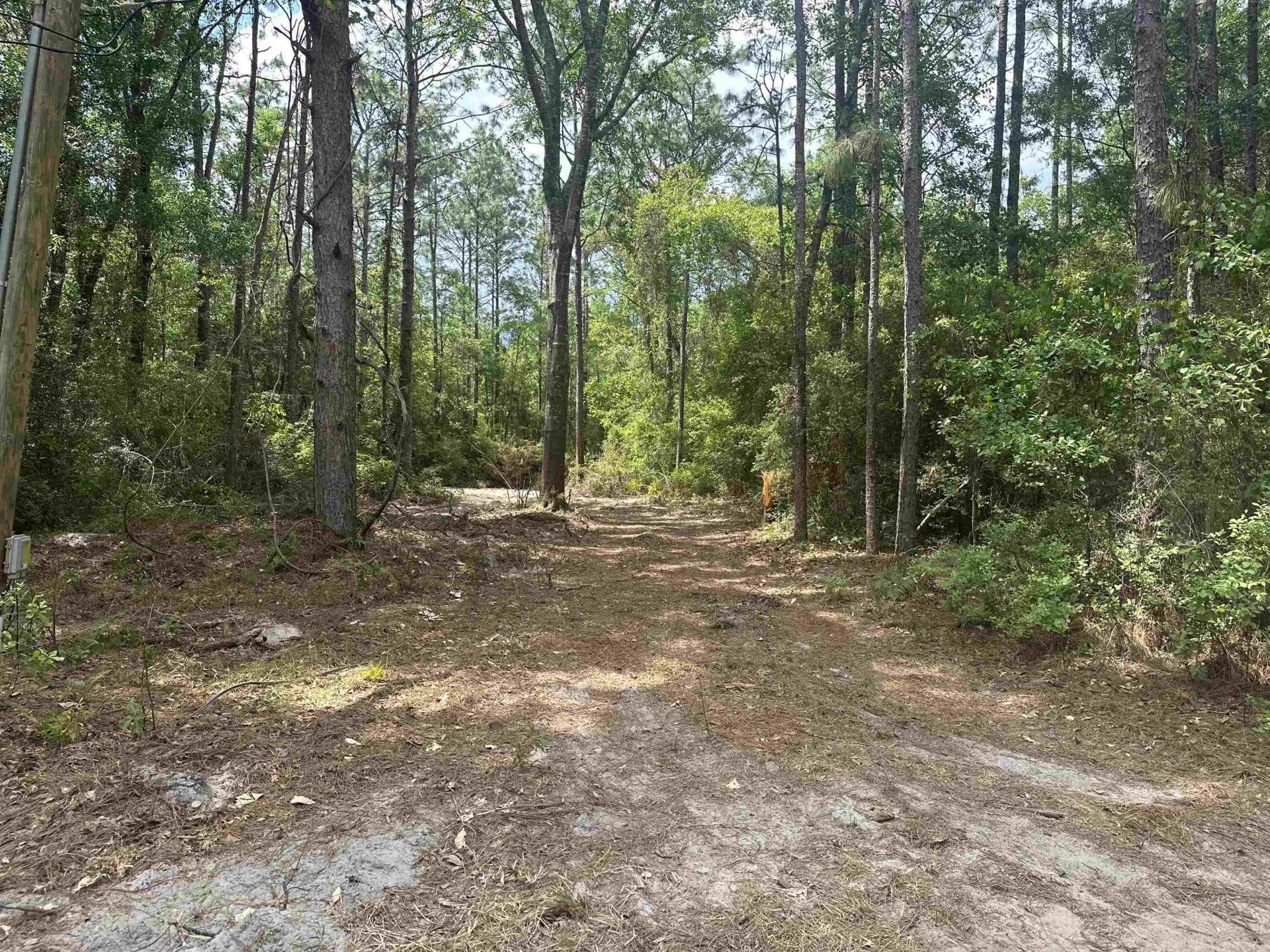 8024 Meridale Drive, Woodville, FL 32305 Photo