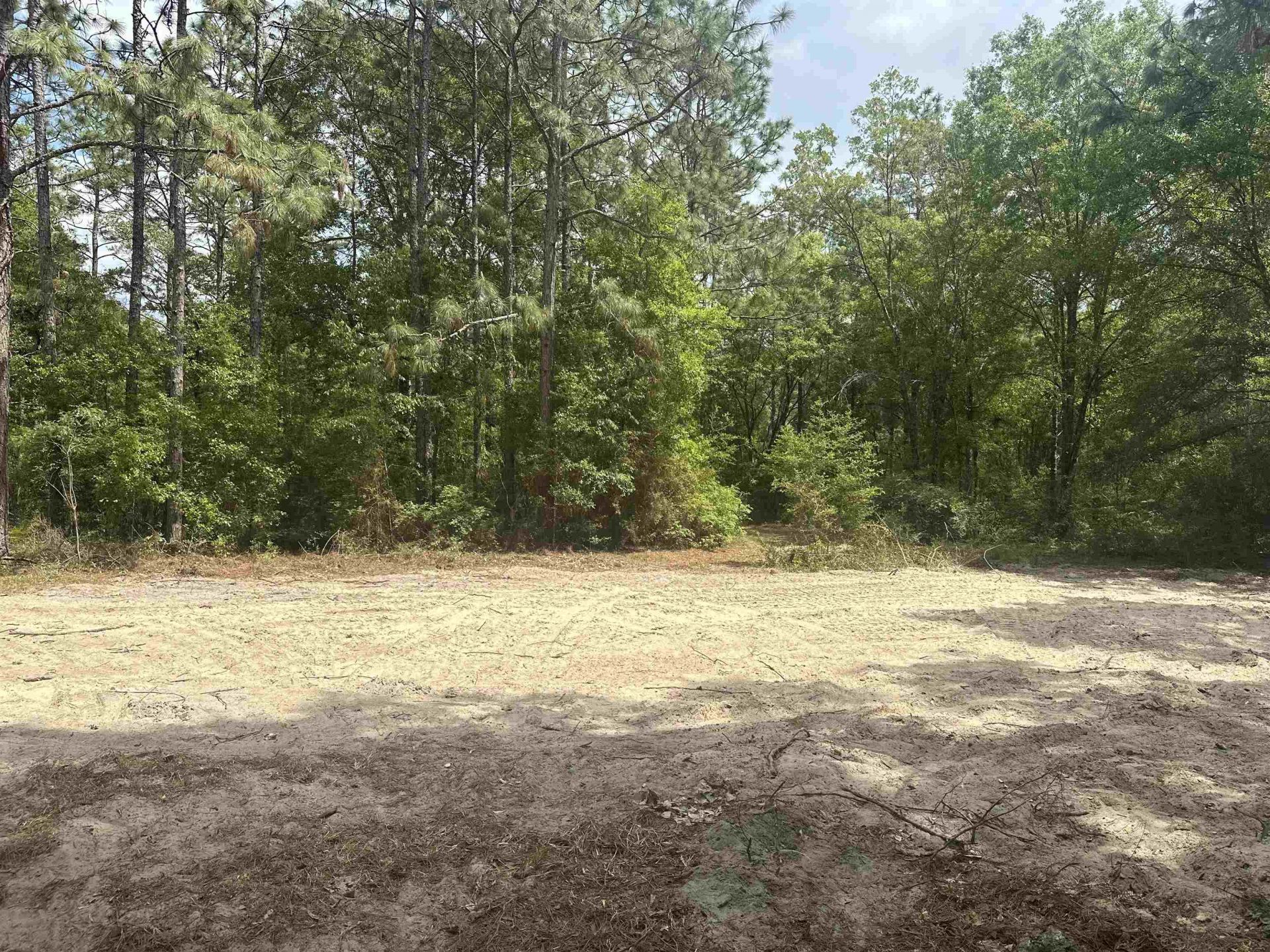 8024 Meridale Drive, Woodville, FL 32305 Photo