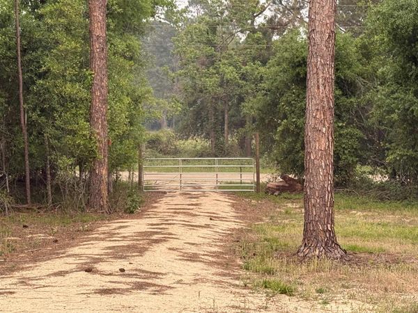 455 NE Blue Ridge Landing Avenue , Lee, FL 32059