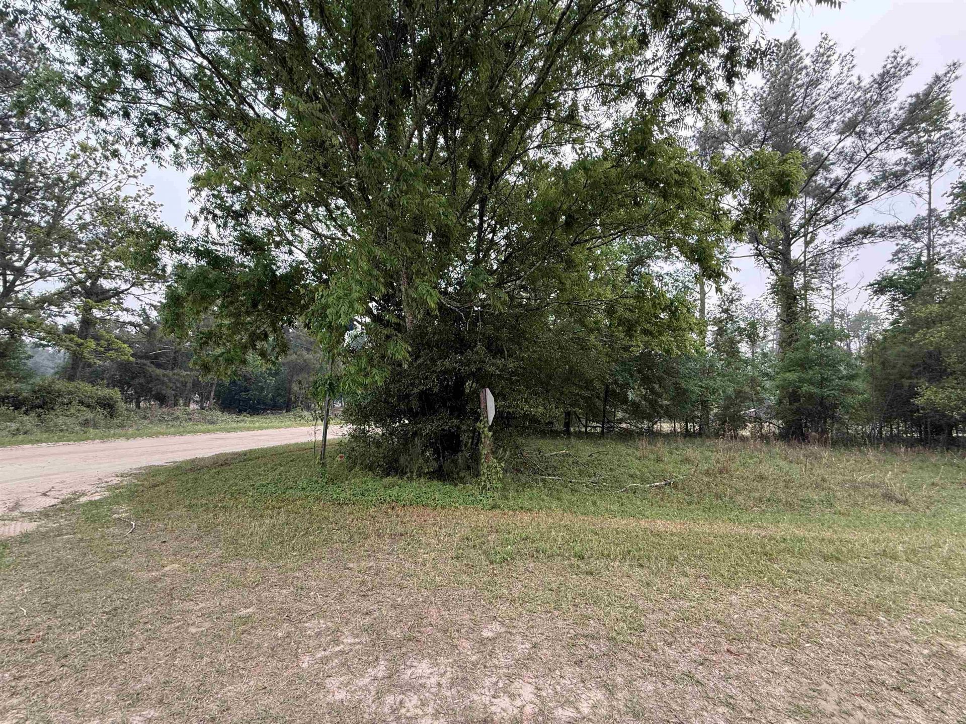 455 NE Blue Ridge Landing Avenue , Lee, FL 32059 Photo