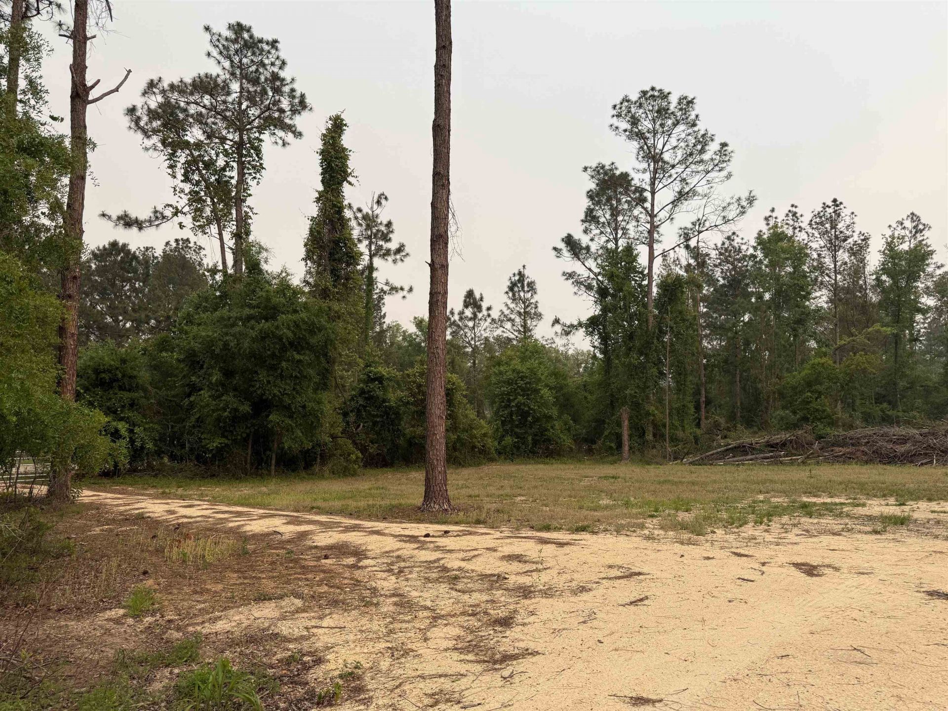 455 NE Blue Ridge Landing Avenue , Lee, FL 32059 Photo