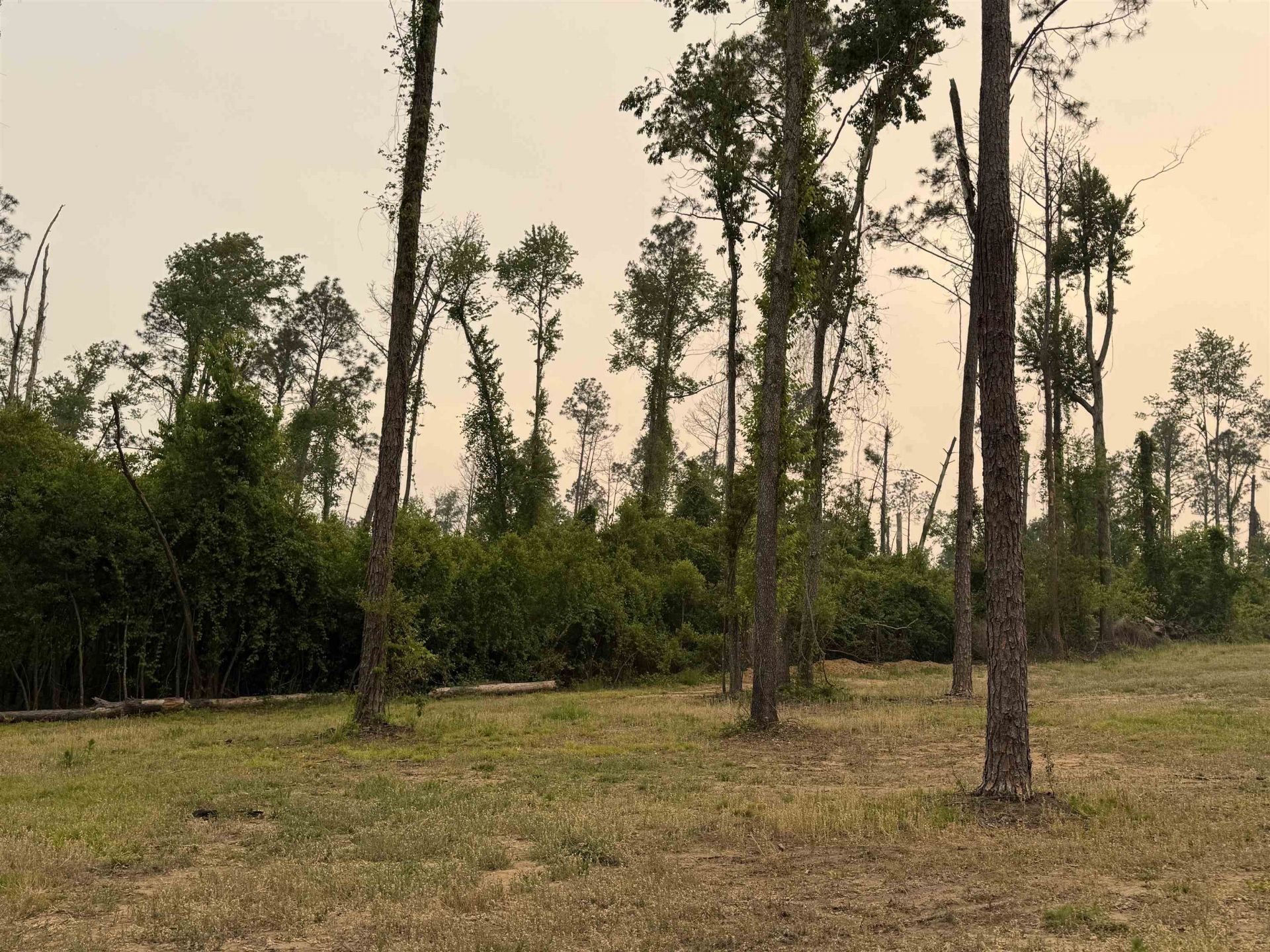 455 NE Blue Ridge Landing Avenue , Lee, FL 32059 Photo