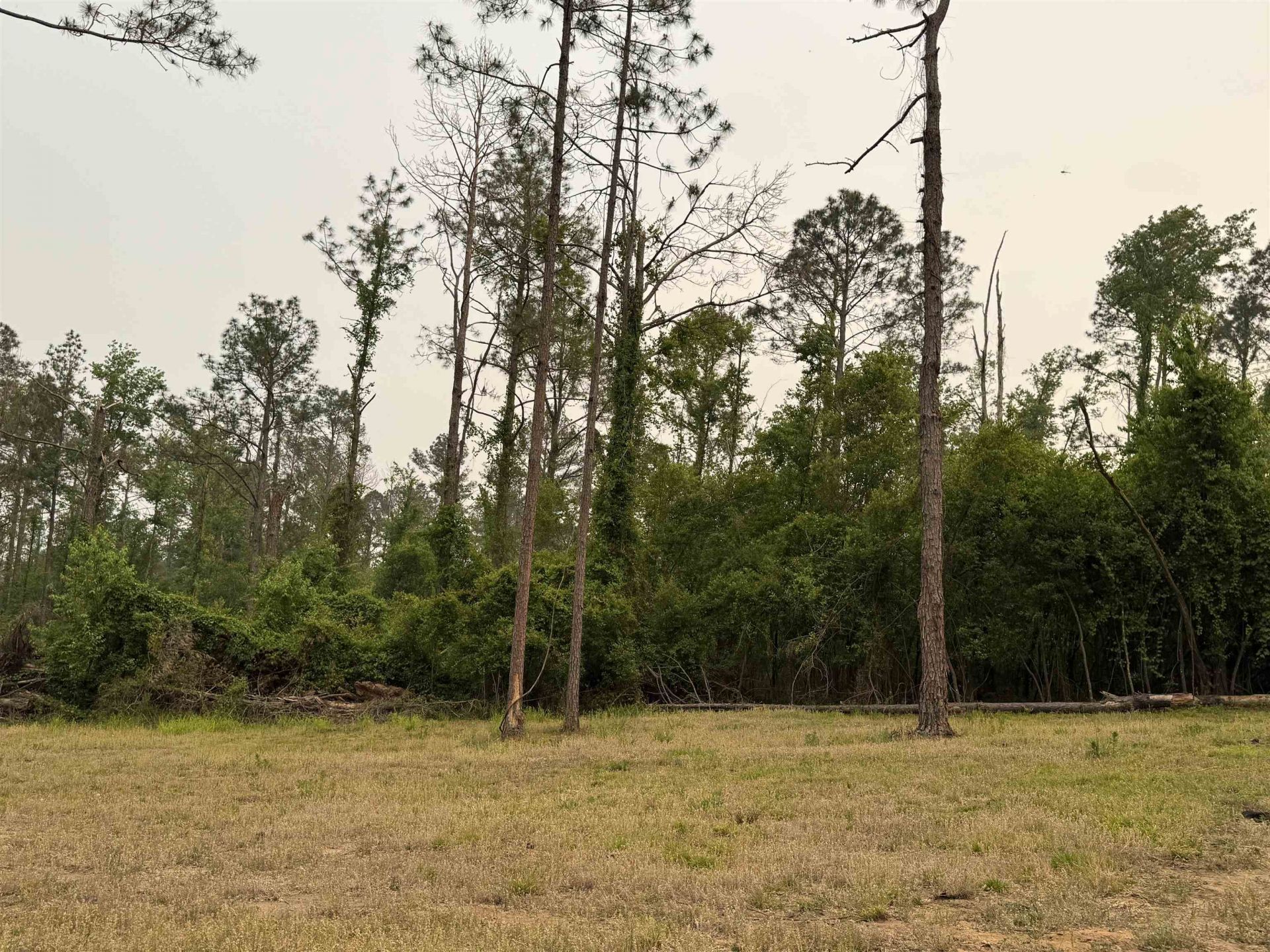 455 NE Blue Ridge Landing Avenue , Lee, FL 32059 Photo