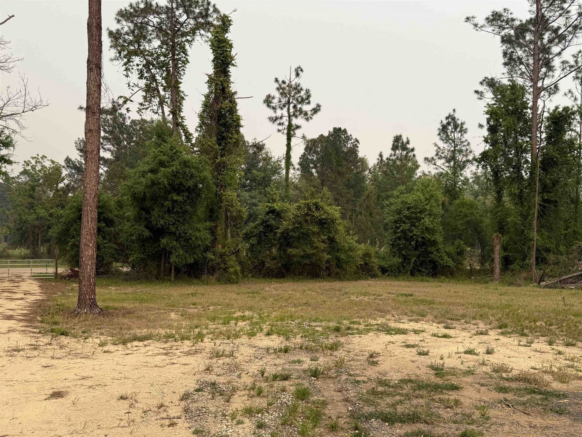 455 NE Blue Ridge Landing Avenue , Lee, FL 32059 Photo