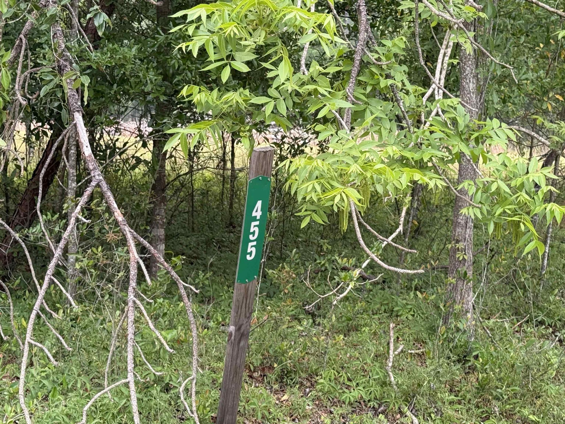 455 NE Blue Ridge Landing Avenue , Lee, FL 32059 Photo