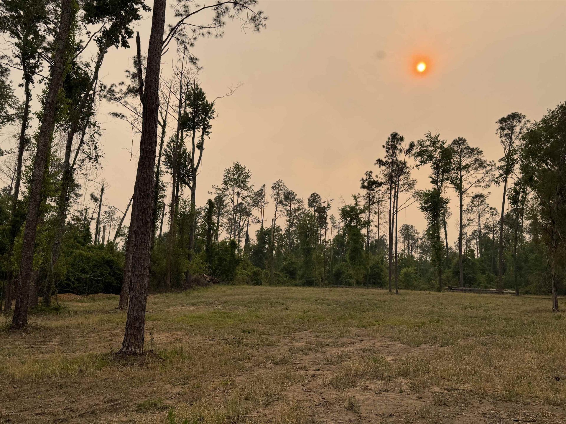 455 NE Blue Ridge Landing Avenue , Lee, FL 32059 Photo