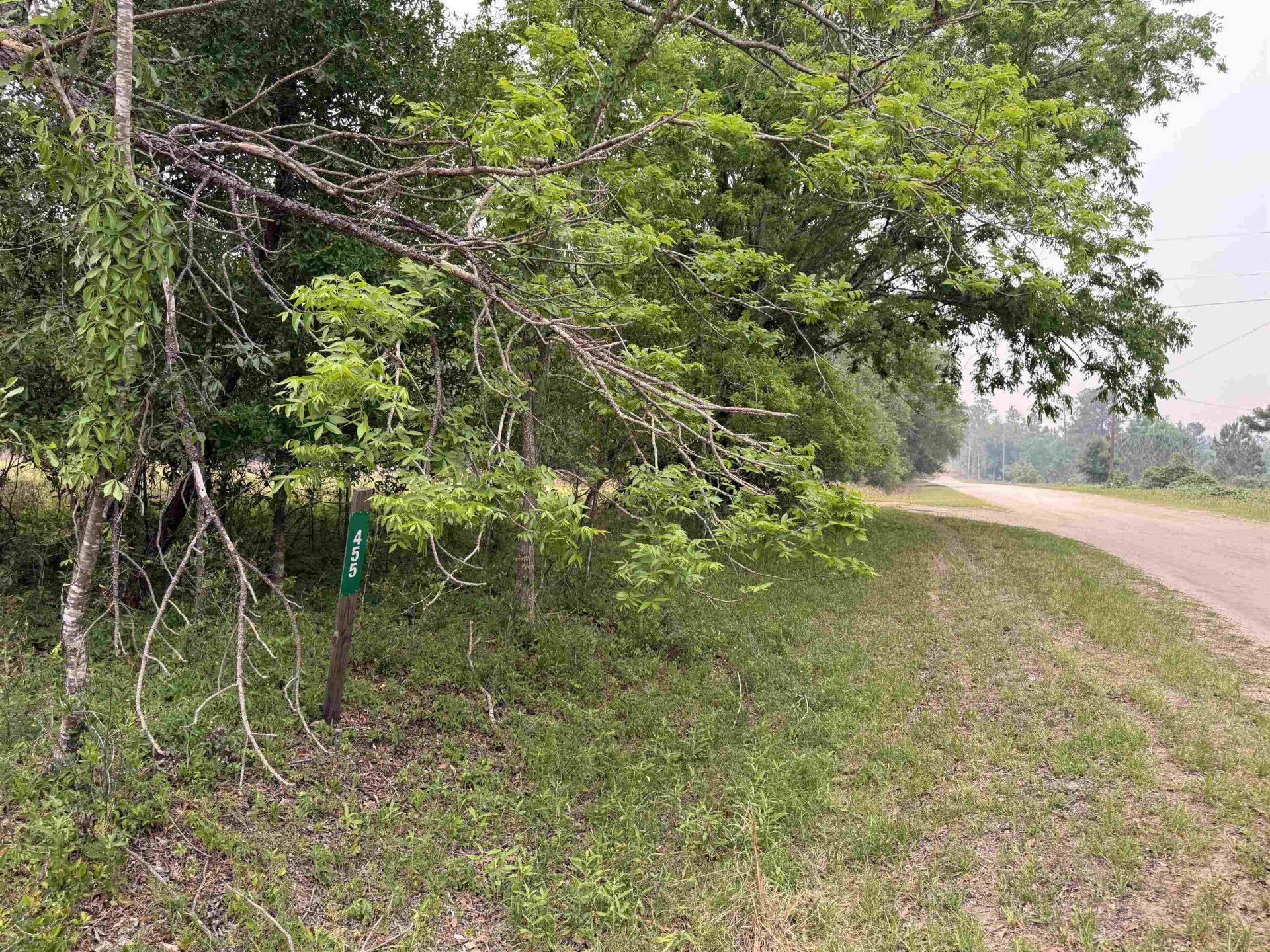 455 NE Blue Ridge Landing Avenue , Lee, FL 32059 Photo