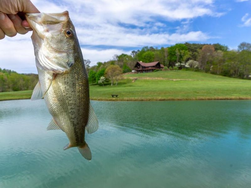 20358 Buena Vista Road , Rockbridge, OH 43149 Photo 102