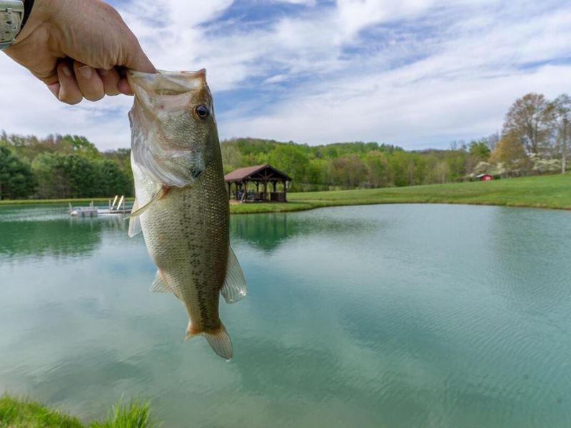 20358 Buena Vista Road , Rockbridge, OH 43149 Photo 103