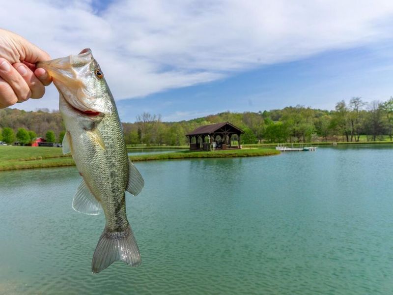 20358 Buena Vista Road , Rockbridge, OH 43149 Photo 104