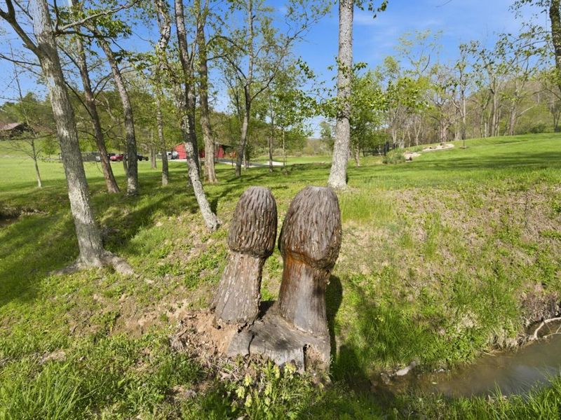 20358 Buena Vista Road , Rockbridge, OH 43149 Photo 120