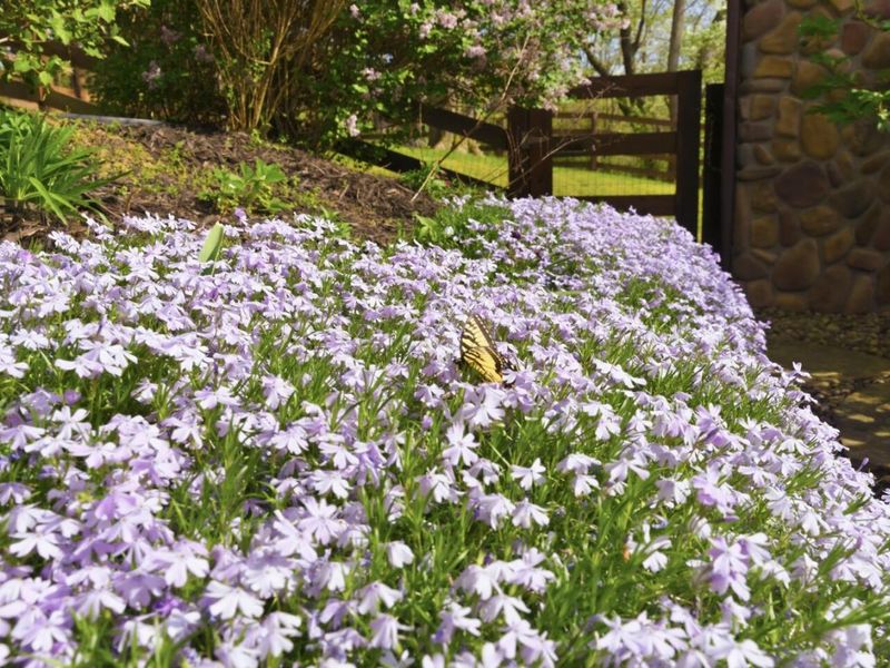 20358 Buena Vista Road , Rockbridge, OH 43149 Photo 81