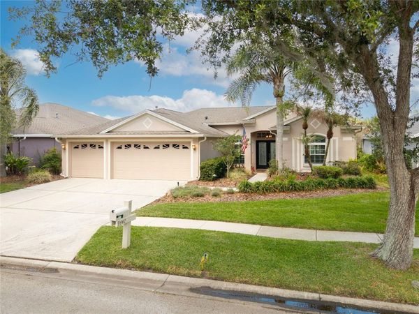 9442 HUNTERS POND DRIVE , TAMPA, FL 33647