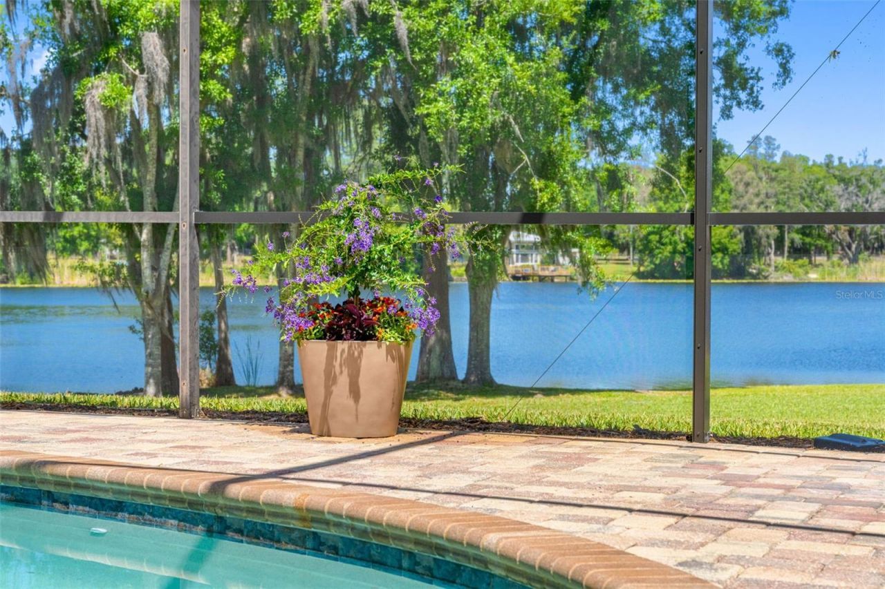 304 Lake Kell Court, Lutz, FL 33549 Photo