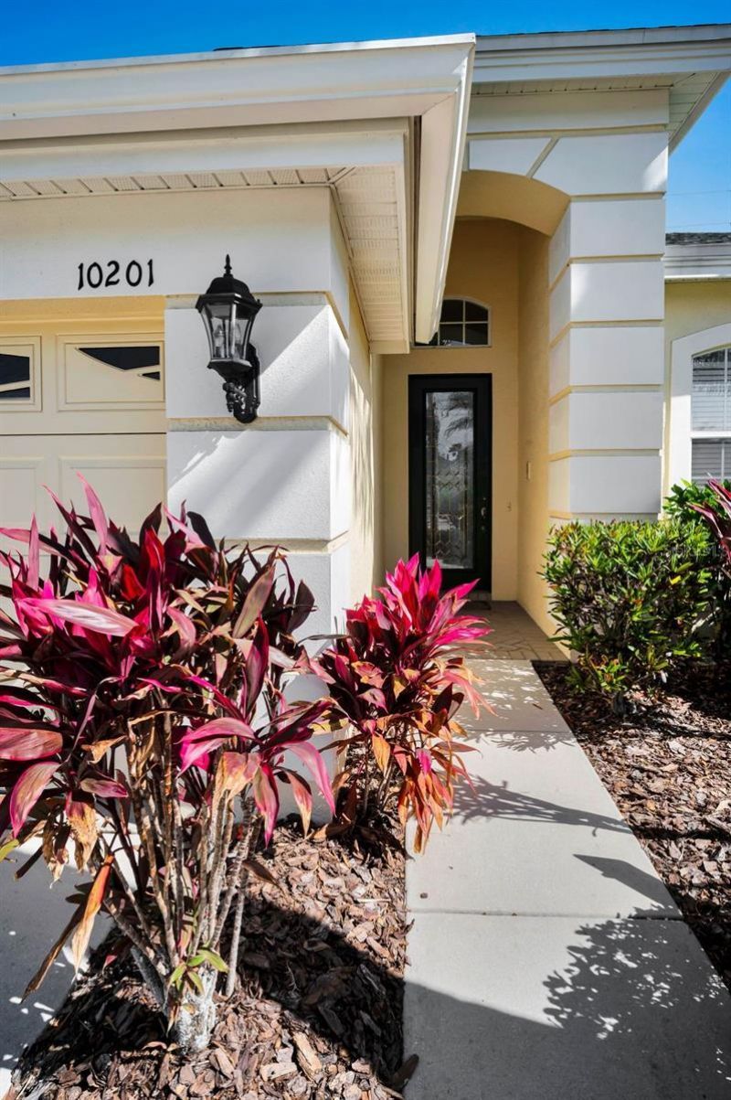 10201 Sorenstam Drive, Trinity, FL 34655 Photo