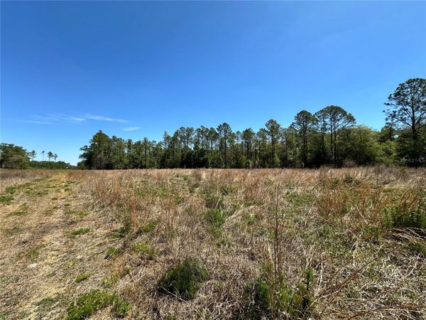 TBD NE 128TH LANE, BRONSON, FL 32621