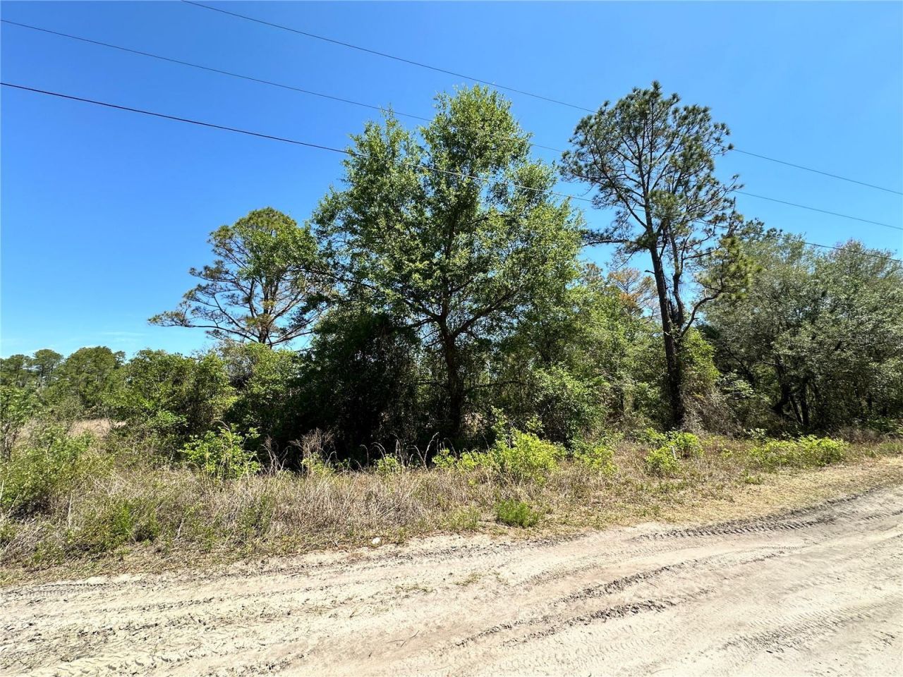 Tbd NE 128th Lane, Bronson, FL 32621 Photo