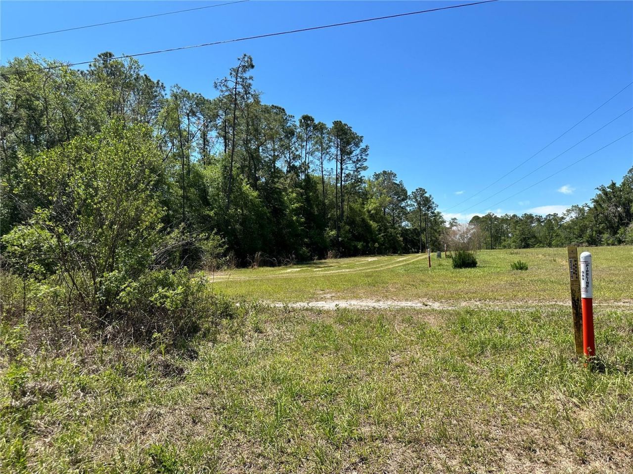 Tbd NE 128th Lane, Bronson, FL 32621 Photo