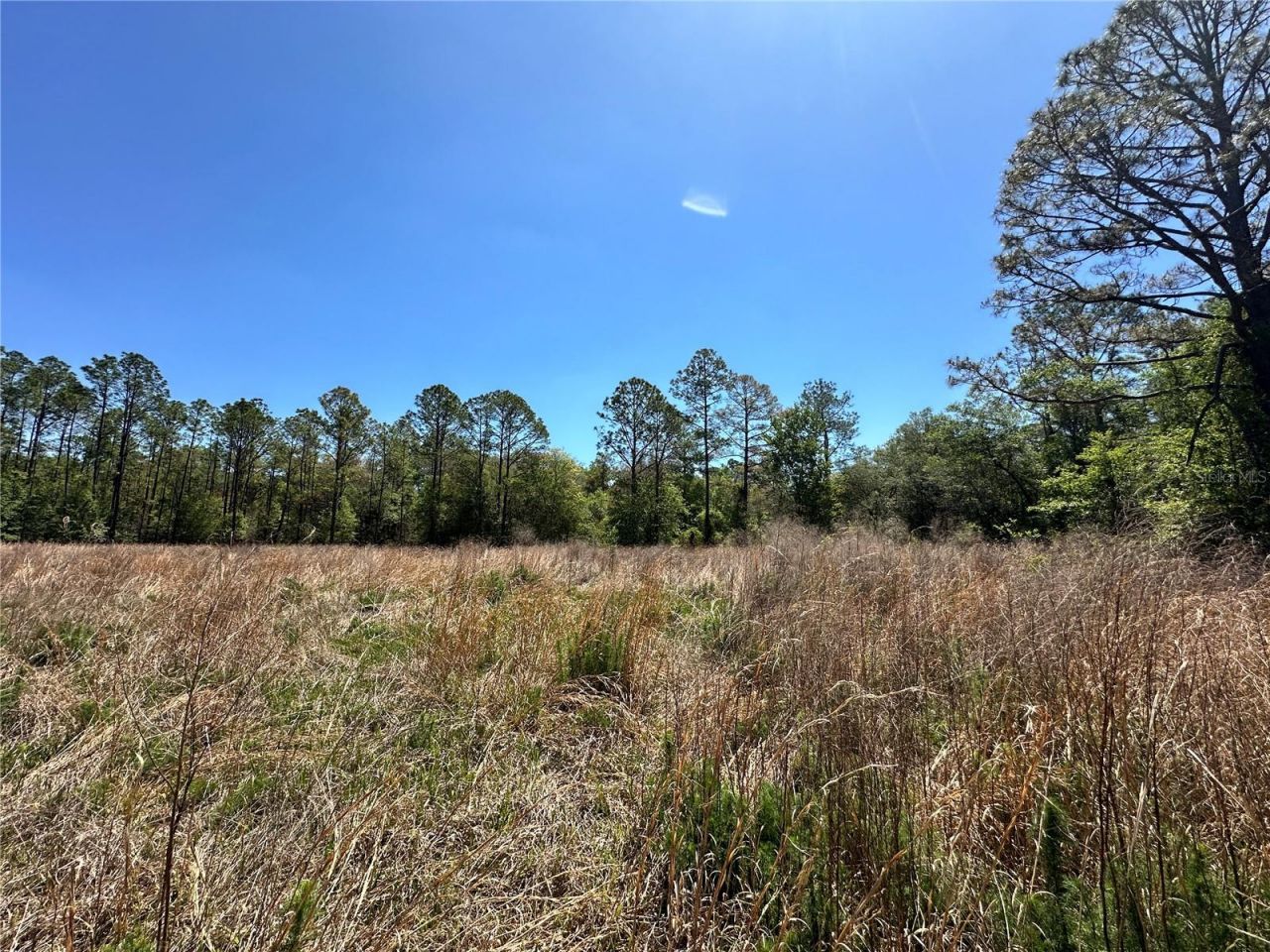 Tbd NE 128th Lane, Bronson, FL 32621 Photo