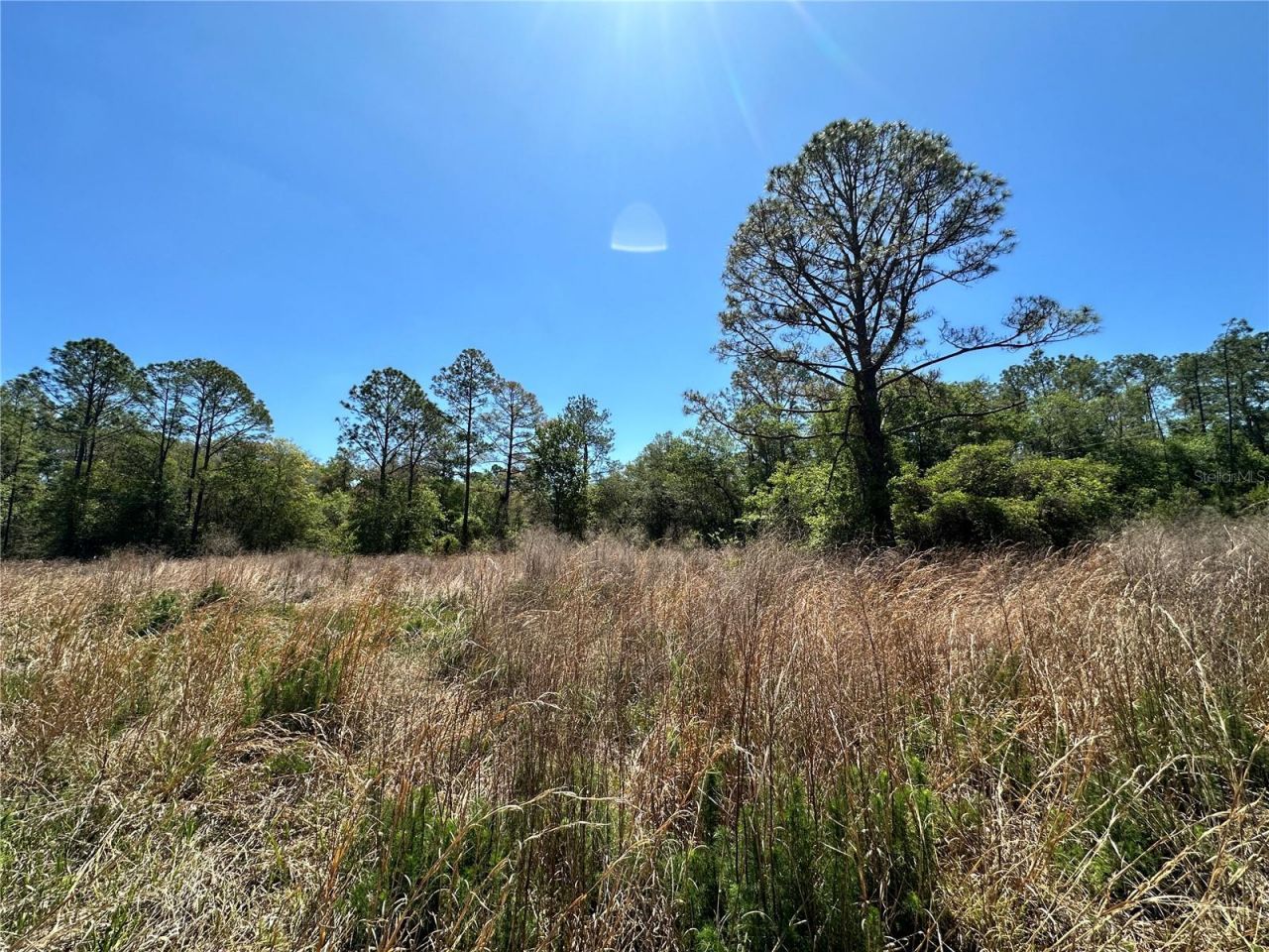 Tbd NE 128th Lane, Bronson, FL 32621 Photo