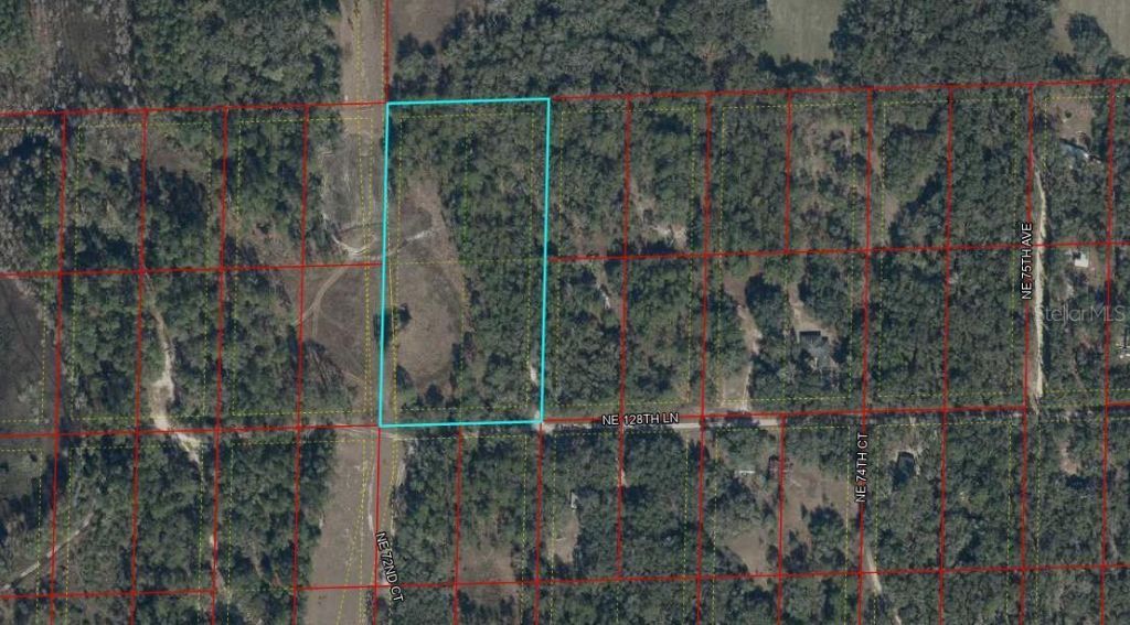 Tbd NE 128th Lane, Bronson, FL 32621 Photo
